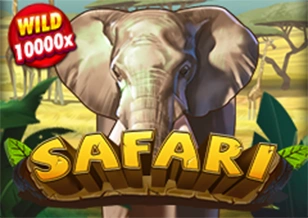 Safari - FULLBET138